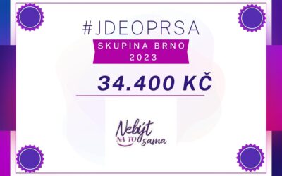 Podpora projektu