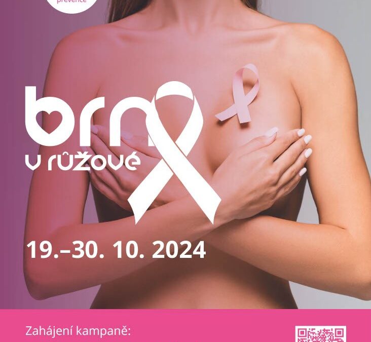 Brno v růžové