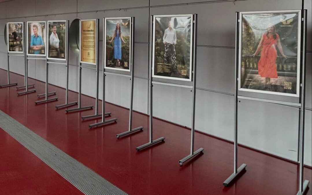 Výstava Pod Vašimi křídly