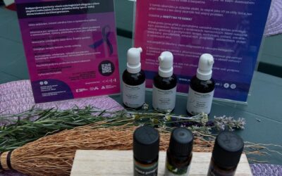 Bylinkové léto v Mikulově