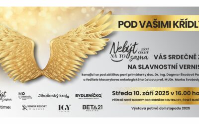 Vernisáž Pod vašimi křídly v Českých Budějovicích