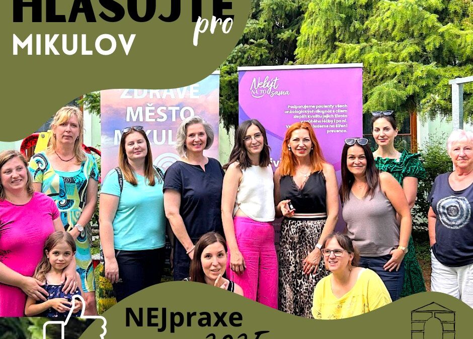 Národní síť Zdravých měst ČR